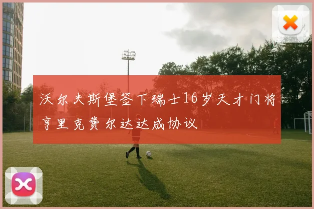 沃尔夫斯堡签下瑞士16岁天才门将亨里克费尔达达成协议