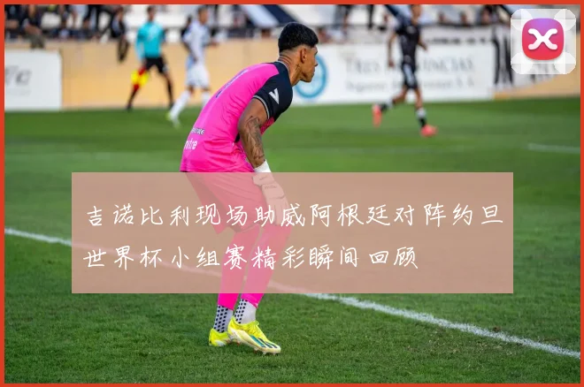 吉诺比利现场助威阿根廷对阵约旦世界杯小组赛精彩瞬间回顾